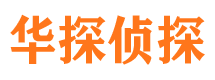 盐池侦探